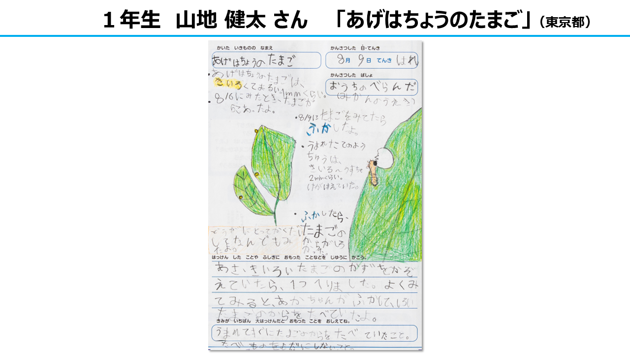 自由研究部門　大賞　1年生