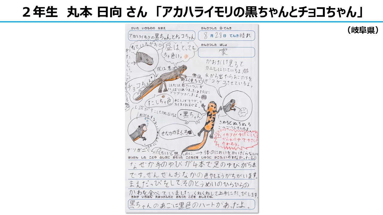 自由研究部門　大賞　2年生