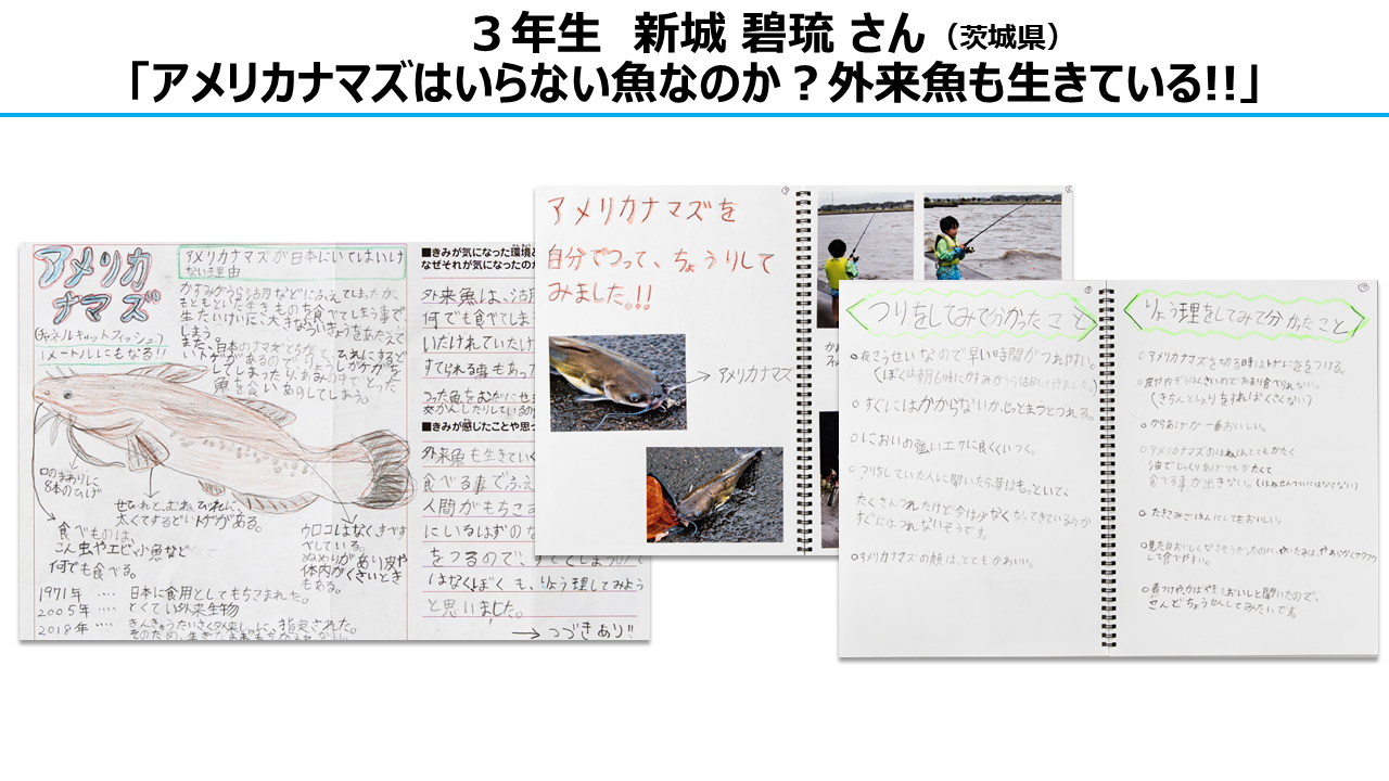 環境部門　大賞　3年生