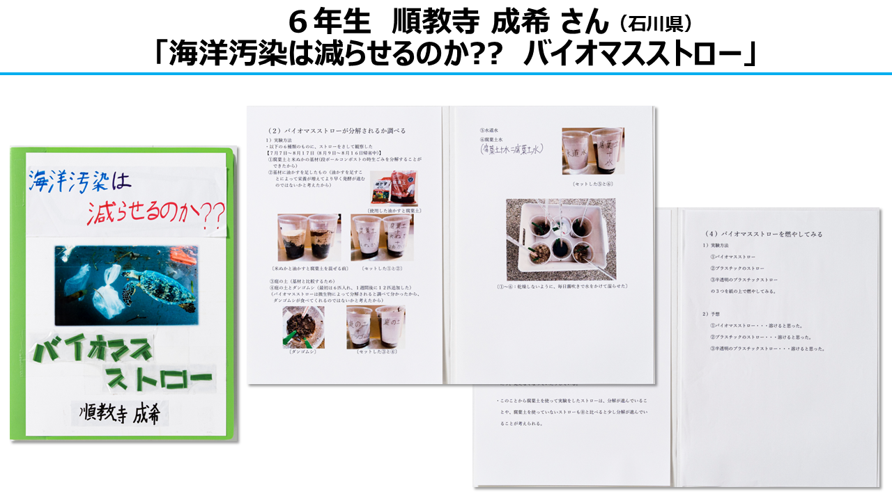 環境部門　審査員特別賞　6年生