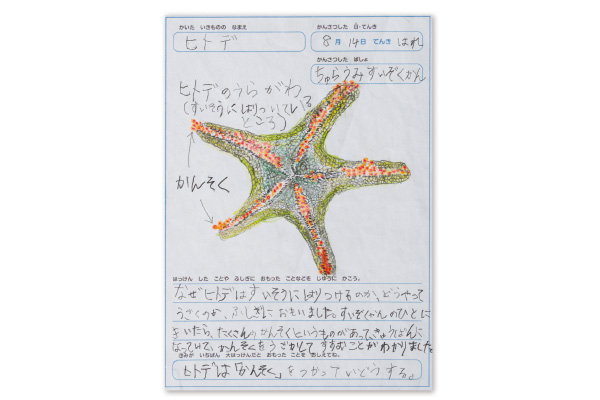受賞者の作品