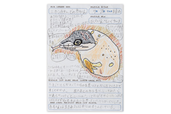 受賞者の作品