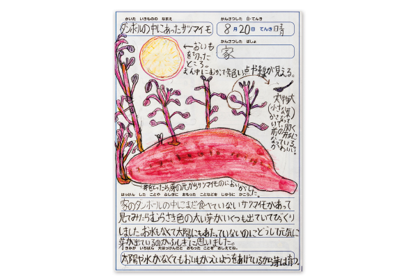 受賞者の作品