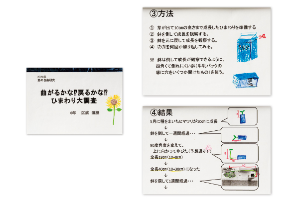 受賞者の作品