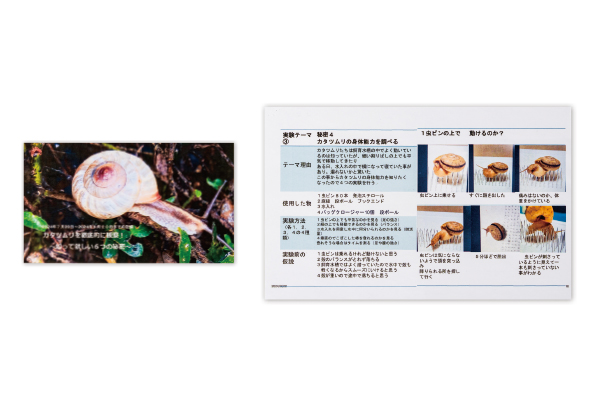 受賞者の作品