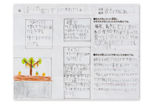 受賞者の作品